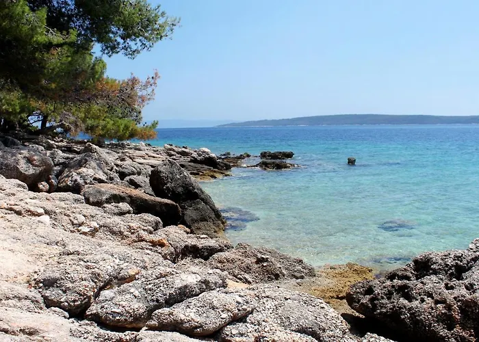 Apartments And Rooms By The Sea Zavala, Hvar - 8784 Завала